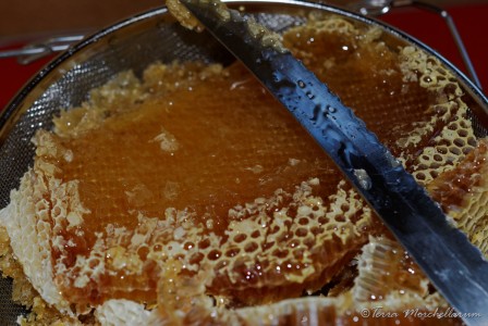 Le miel vierge est obtenu par égouttement en coupant les opercules de cire.