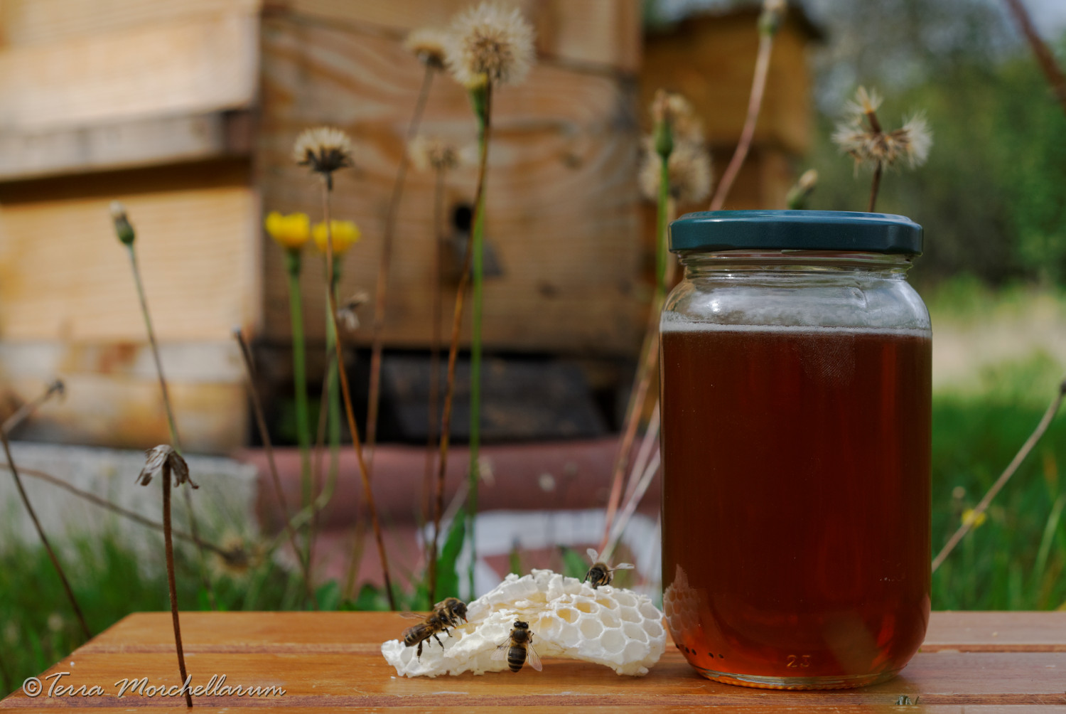 Un pot de miel produit par mes abeilles.